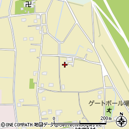 埼玉県幸手市槙野地周辺の地図