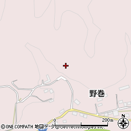 埼玉県秩父郡皆野町野巻263周辺の地図