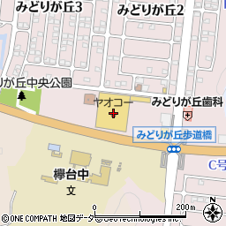 埼玉りそな銀行ヤオコーみどりが丘店 ＡＴＭ周辺の地図