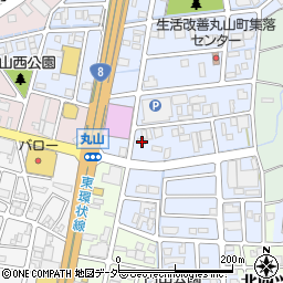 日本ビグラッドシステム株式会社周辺の地図