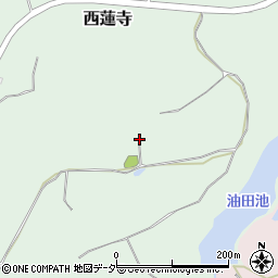 茨城県行方市西蓮寺1178周辺の地図