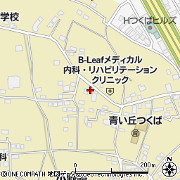 茨城県つくば市小野崎405-3周辺の地図