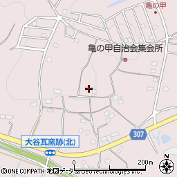 埼玉県東松山市大谷3038周辺の地図