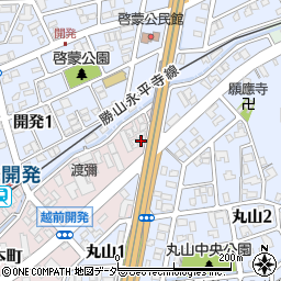 福井県福井市長本町1028周辺の地図