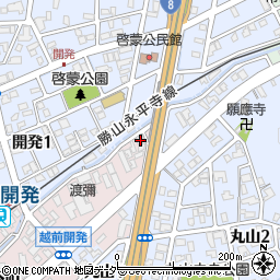 福井県福井市長本町1024周辺の地図