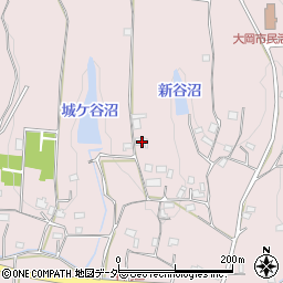 埼玉県東松山市大谷3373周辺の地図