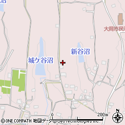 埼玉県東松山市大谷3451-4周辺の地図