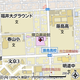 福井県庁舎出先機関　県立美術館周辺の地図