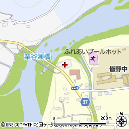 埼玉県秩父郡皆野町皆野2228周辺の地図