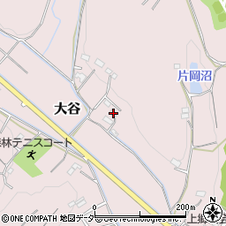 埼玉県東松山市大谷483周辺の地図