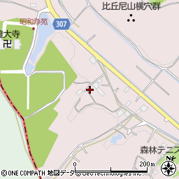 埼玉県東松山市大谷215周辺の地図