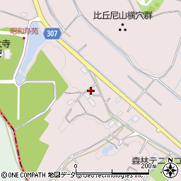 埼玉県東松山市大谷216周辺の地図