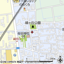 福井県福井市開発3丁目205周辺の地図