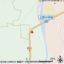 勝山公民館周辺の地図