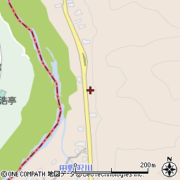 埼玉県秩父郡皆野町下田野109周辺の地図