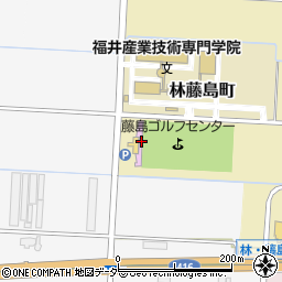 福井県福井市林藤島町19周辺の地図