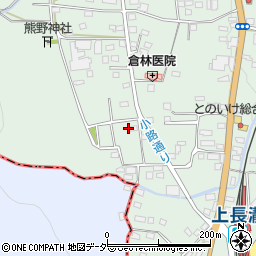 埼玉県秩父郡長瀞町長瀞1595周辺の地図