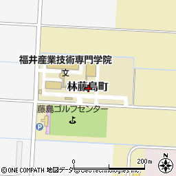 福井県福井市林藤島町周辺の地図