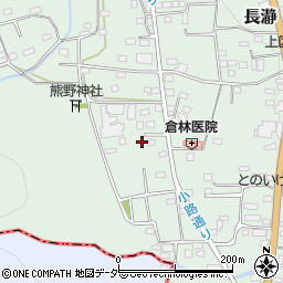 埼玉県秩父郡長瀞町長瀞1301周辺の地図