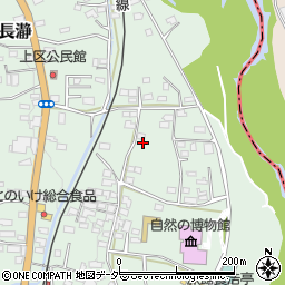 埼玉県秩父郡長瀞町長瀞955周辺の地図