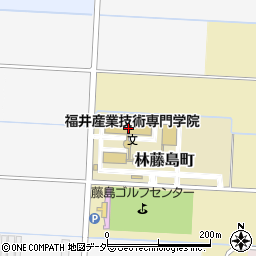 福井県福井市林藤島町20周辺の地図