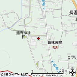 埼玉県秩父郡長瀞町長瀞1294周辺の地図