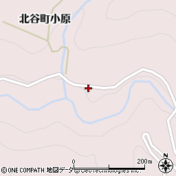 福井県勝山市北谷町小原18-7周辺の地図