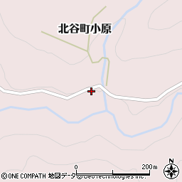 福井県勝山市北谷町小原33周辺の地図