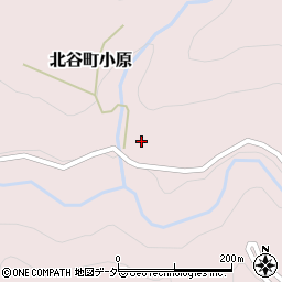 福井県勝山市北谷町小原19-12周辺の地図