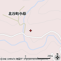 福井県勝山市北谷町小原19-16周辺の地図