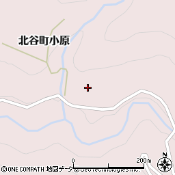 福井県勝山市北谷町小原19周辺の地図