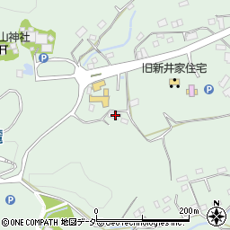 埼玉県秩父郡長瀞町長瀞1186周辺の地図