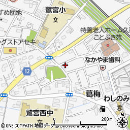 白十字漢方堂周辺の地図