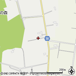 茨城県行方市手賀4252-1周辺の地図