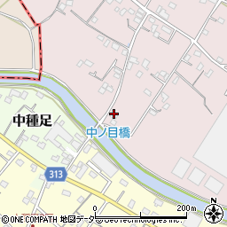 埼玉県加須市中ノ目186周辺の地図