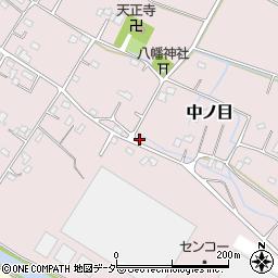 埼玉県加須市中ノ目551周辺の地図