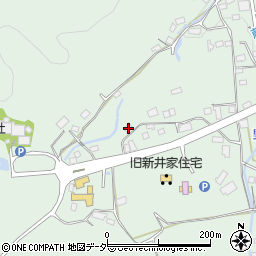 埼玉県秩父郡長瀞町長瀞697周辺の地図