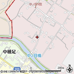 埼玉県加須市中ノ目199周辺の地図