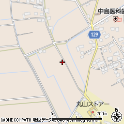 茨城県常総市新石下4880周辺の地図