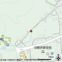 埼玉県秩父郡長瀞町長瀞684周辺の地図