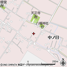 埼玉県加須市中ノ目541周辺の地図