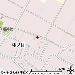 埼玉県加須市中ノ目653周辺の地図