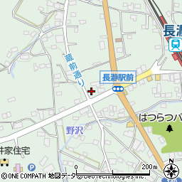 埼玉県秩父郡長瀞町長瀞795周辺の地図