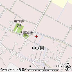 埼玉県加須市中ノ目686周辺の地図