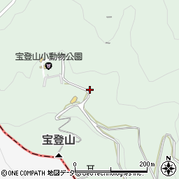 埼玉県秩父郡長瀞町長瀞2207周辺の地図