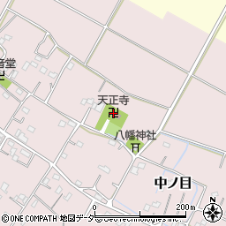 埼玉県加須市中ノ目459周辺の地図
