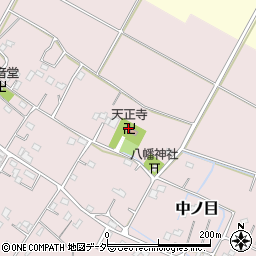天正寺周辺の地図
