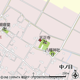 埼玉県加須市中ノ目463周辺の地図