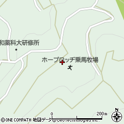 長野県茅野市北山白樺湖3424-1周辺の地図