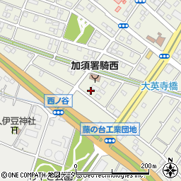 埼玉県加須市騎西3-11周辺の地図